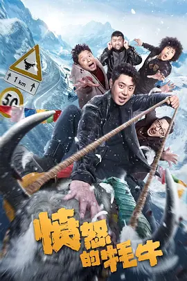 完结高清影视