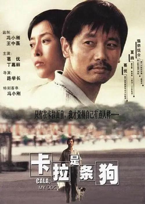 完结完整版观看