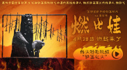 全集免费观看超清